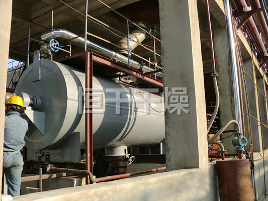 ZPG真空耙式干燥机