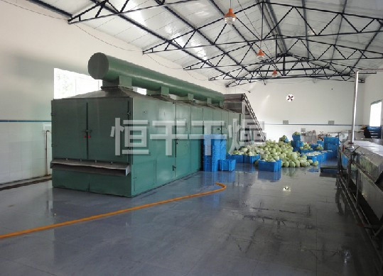 DWC系列脱水蔬菜带式干燥机